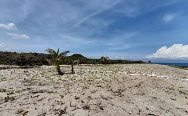 Listing ID: URE0639,  Utila, Bay Islands, HN - Swanish Bay Waterfront Lot 2, Photo #