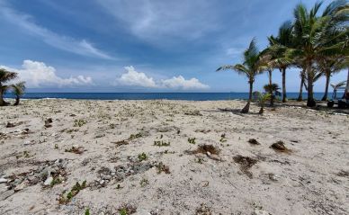 Listing ID: URE0639,  Utila, Bay Islands, HN - Swanish Bay Waterfront Lot 2, Photo #