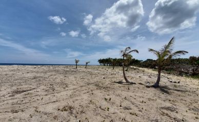 Listing ID: URE0639,  Utila, Bay Islands, HN - Swanish Bay Waterfront Lot 2, Photo #