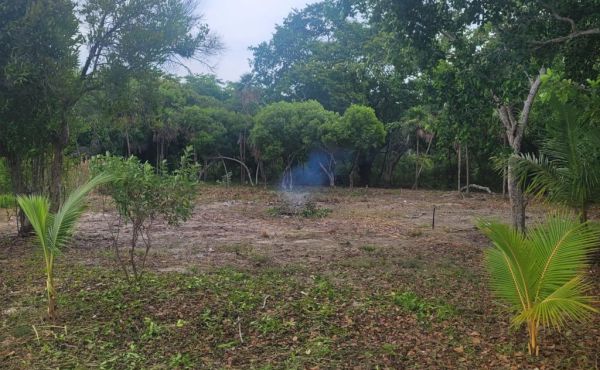 12bf3786-f168-4b63-aa54-95db833044e3