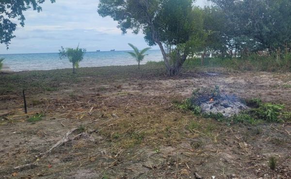 d406d484-b1c5-4740-8c5b-3ba121095dc8