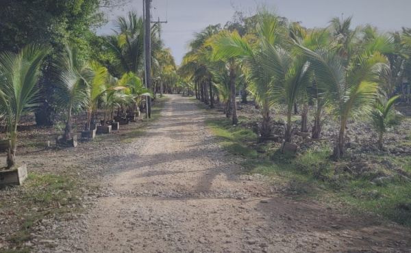 WhatsApp Image 2025-06-03 at 4.20.55 PM