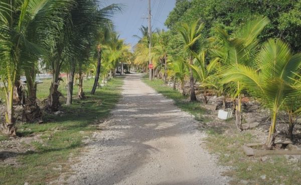 WhatsApp Image 2025-06-03 at 4.20.56 PM