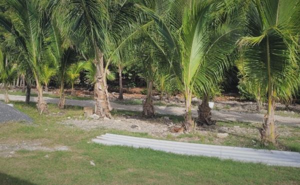 WhatsApp Image 2025-06-03 at 4.20.57 PM