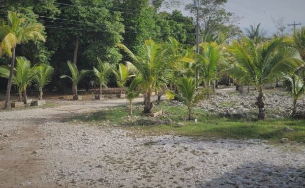 WhatsApp Image 2025-06-03 at 4.20.58 PM