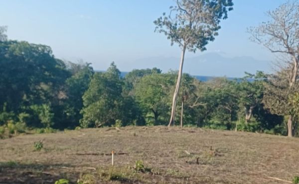 WhatsApp Image 2025-05-22 at 1.38.01 PM