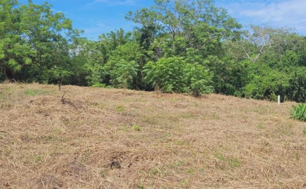 WhatsApp Image 2025-07-29 at 14.01.23_2b0866cb