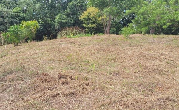 WhatsApp Image 2025-07-29 at 14.01.23_bd09997c