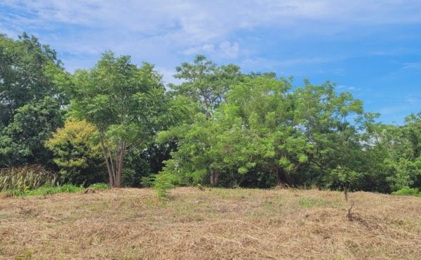 WhatsApp Image 2025-07-29 at 14.01.24_5a5f383e