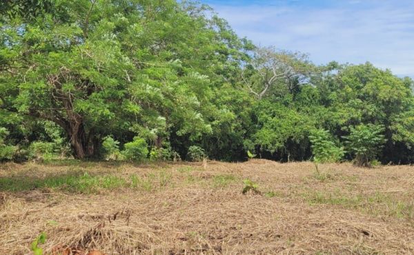 WhatsApp Image 2025-07-29 at 14.01.24_b6ee0cb5