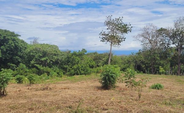 WhatsApp Image 2025-07-29 at 14.01.25_306701d3