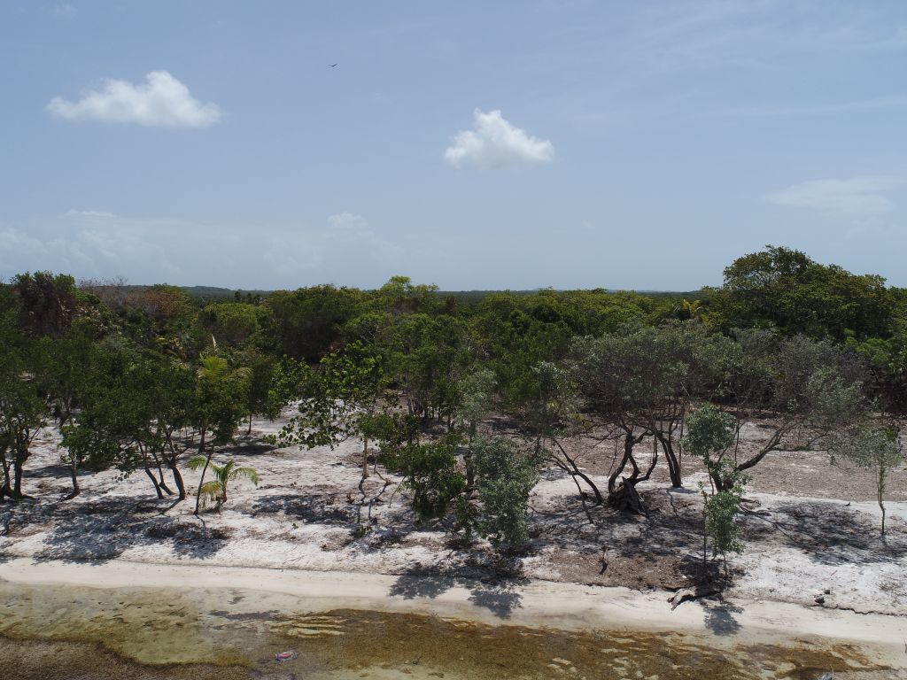 Listing ID: URE0642, David's Beach Utila, Bay Islands, HN - Sunset Shore, Lot 10, Photo #