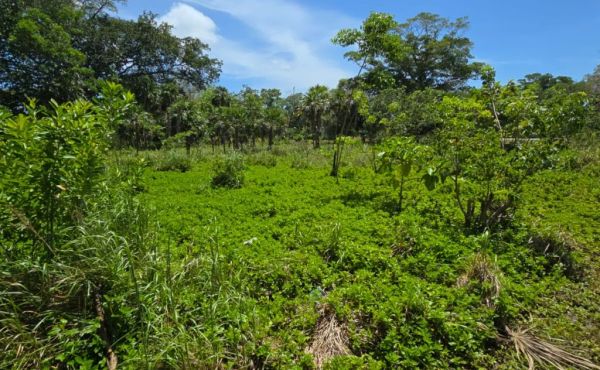 WhatsApp Image 2025-07-23 at 9.09.48 AM (2)