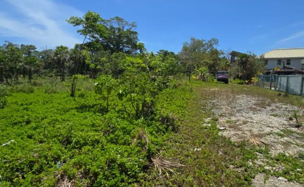 WhatsApp Image 2025-07-23 at 9.09.49 AM