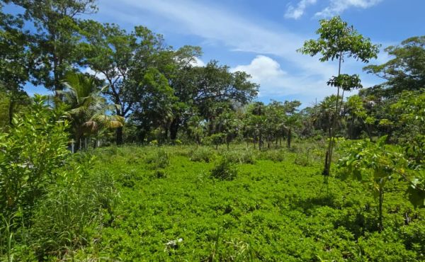 WhatsApp Image 2025-07-23 at 9.09.50 AM