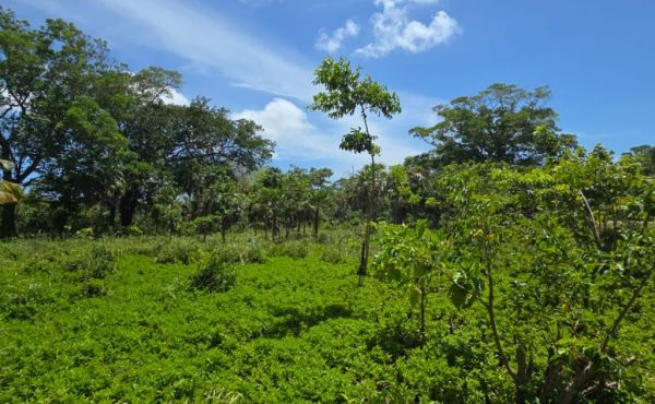 WhatsApp Image 2025-07-23 at 9.09.50 AM (1)