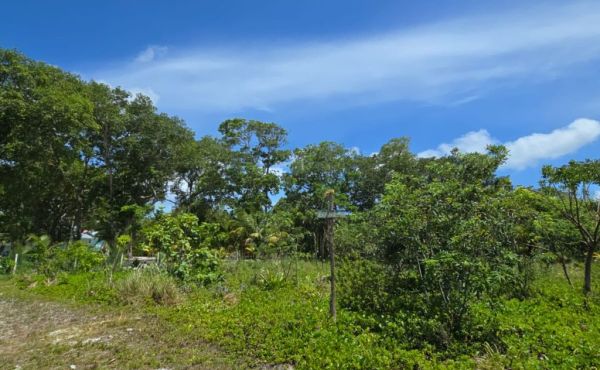 WhatsApp Image 2025-07-23 at 9.09.50 AM (2)