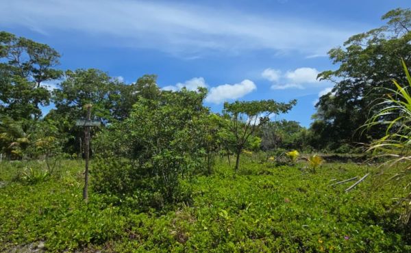 WhatsApp Image 2025-07-23 at 9.09.50 AM (3)