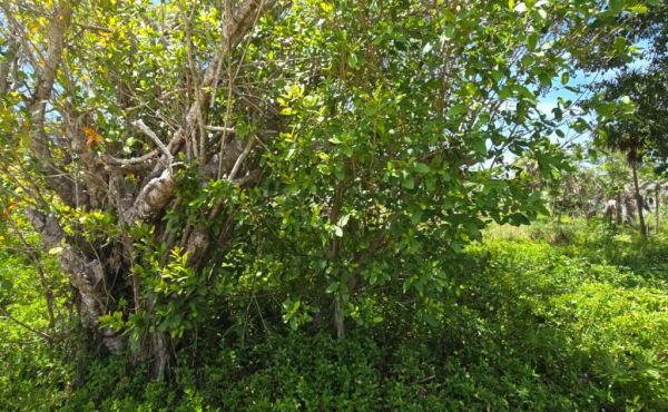 WhatsApp Image 2025-07-23 at 9.09.50 AM (4)