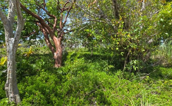 WhatsApp Image 2025-07-23 at 9.09.50 AM (5)