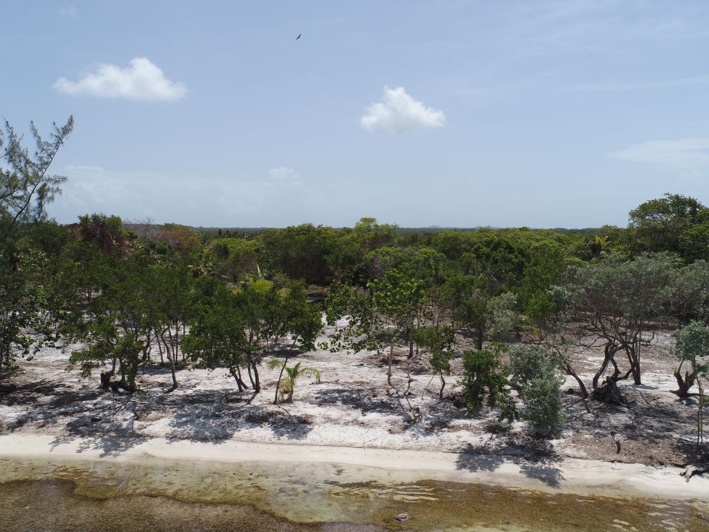 Listing ID: URE0645, David's Beach Utila, Bay Islands, HN - Sunset Shore, Lot 14, Photo #