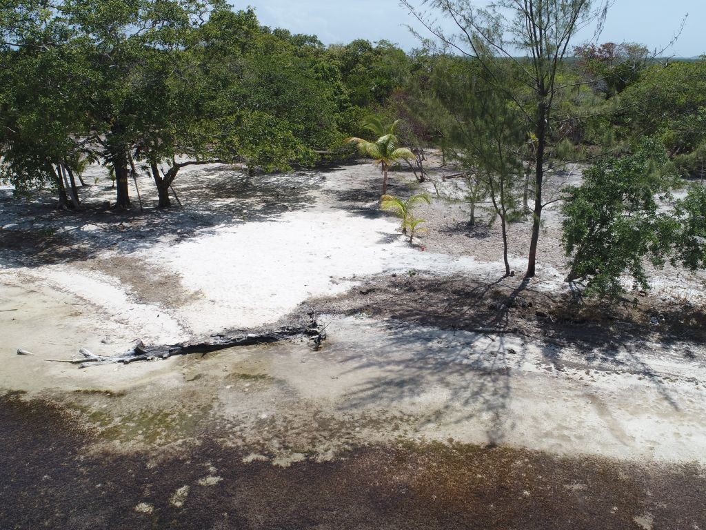 Listing ID: URE0645, David's Beach Utila, Bay Islands, HN - Sunset Shore, Lot 14, Photo #