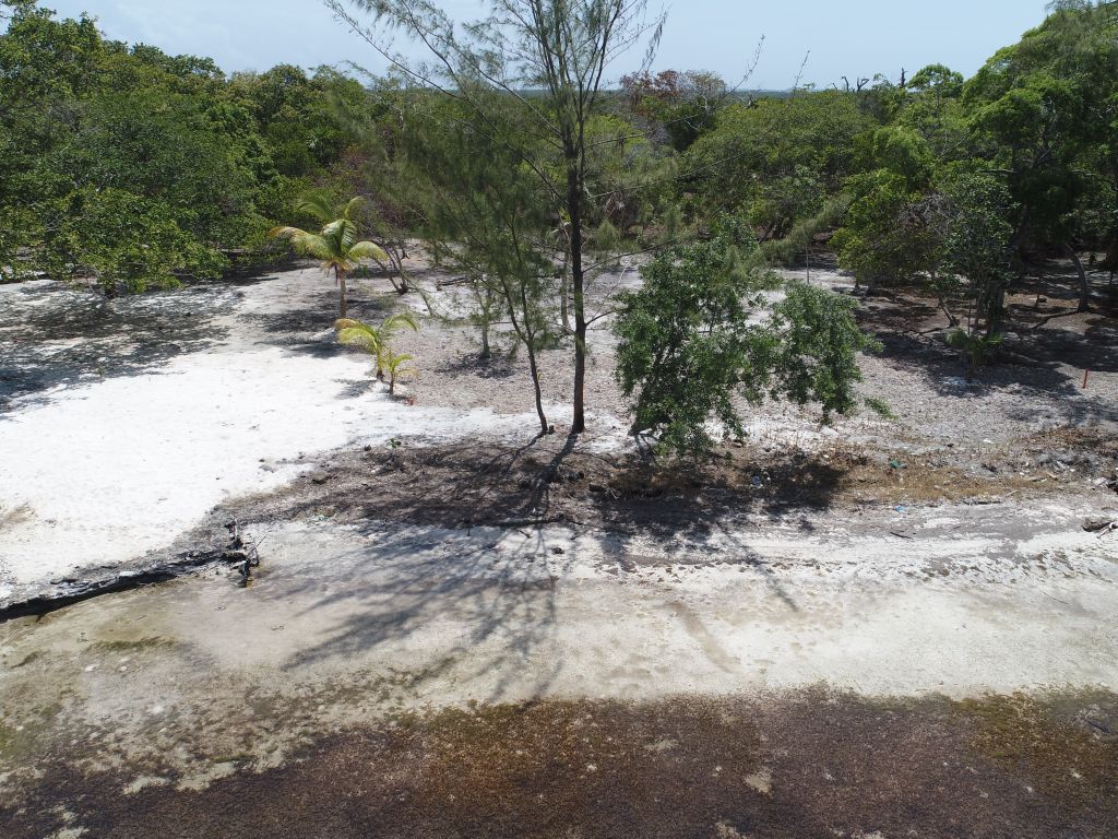 Listing ID: URE0646, David's Beach Utila, Bay Islands, HN - Sunset Shore, Lot 15, Photo #