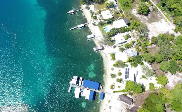 WhatsApp Image 2025-11-10 at 10.01.05 AM