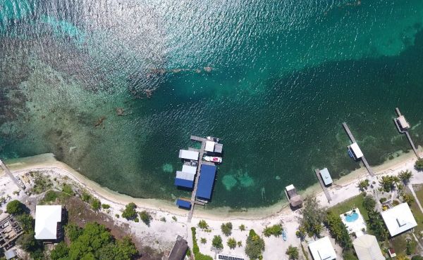 WhatsApp Image 2025-11-10 at 9.58.57 AM (2)