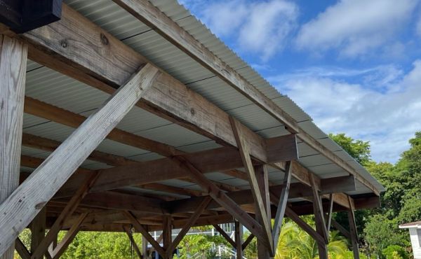 WhatsApp Image 2025-11-10 at 9.58.56 AM