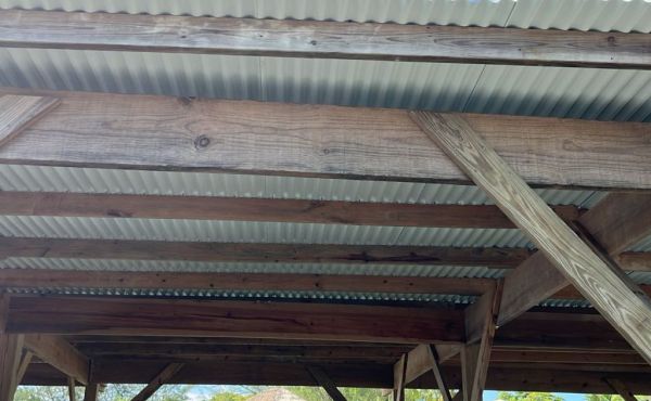 WhatsApp Image 2025-11-10 at 9.58.56 AM (1)