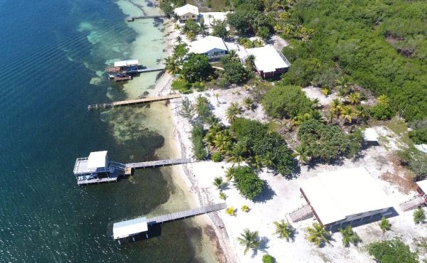 WhatsApp Image 2025-11-10 at 10.25.01 AM