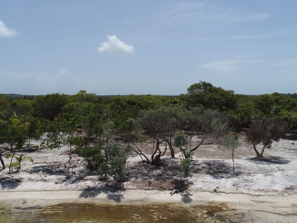 Listing ID: URE0648, David's Beach Utila, Bay Islands, HN - Sunset Shore, Lot 19, Photo #
