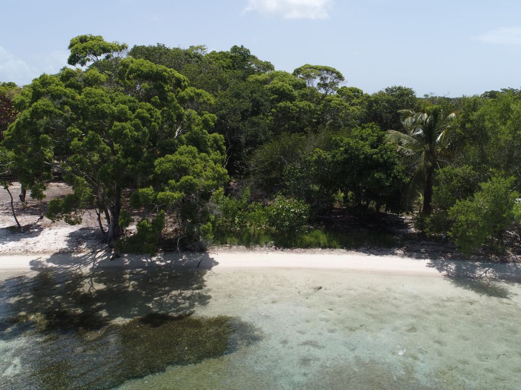 Listing ID: URE0648, David's Beach Utila, Bay Islands, HN - Sunset Shore, Lot 19, Photo #