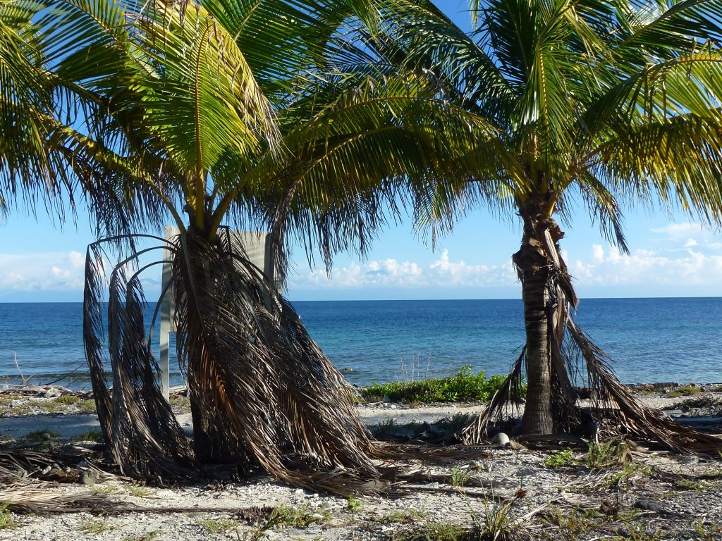 Listing ID: URE0649, Little Bight Utila, Bay Islands, HN - Little Bight Lot 10, Photo #