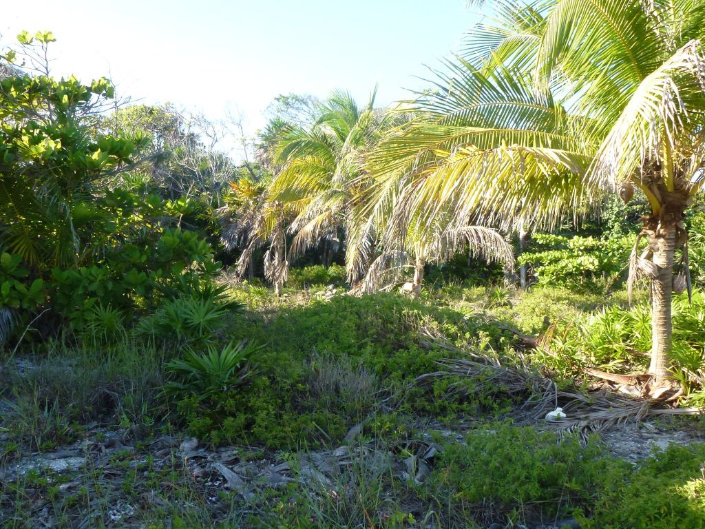 Listing ID: URE0649, Little Bight Utila, Bay Islands, HN - Little Bight Lot 10, Photo #