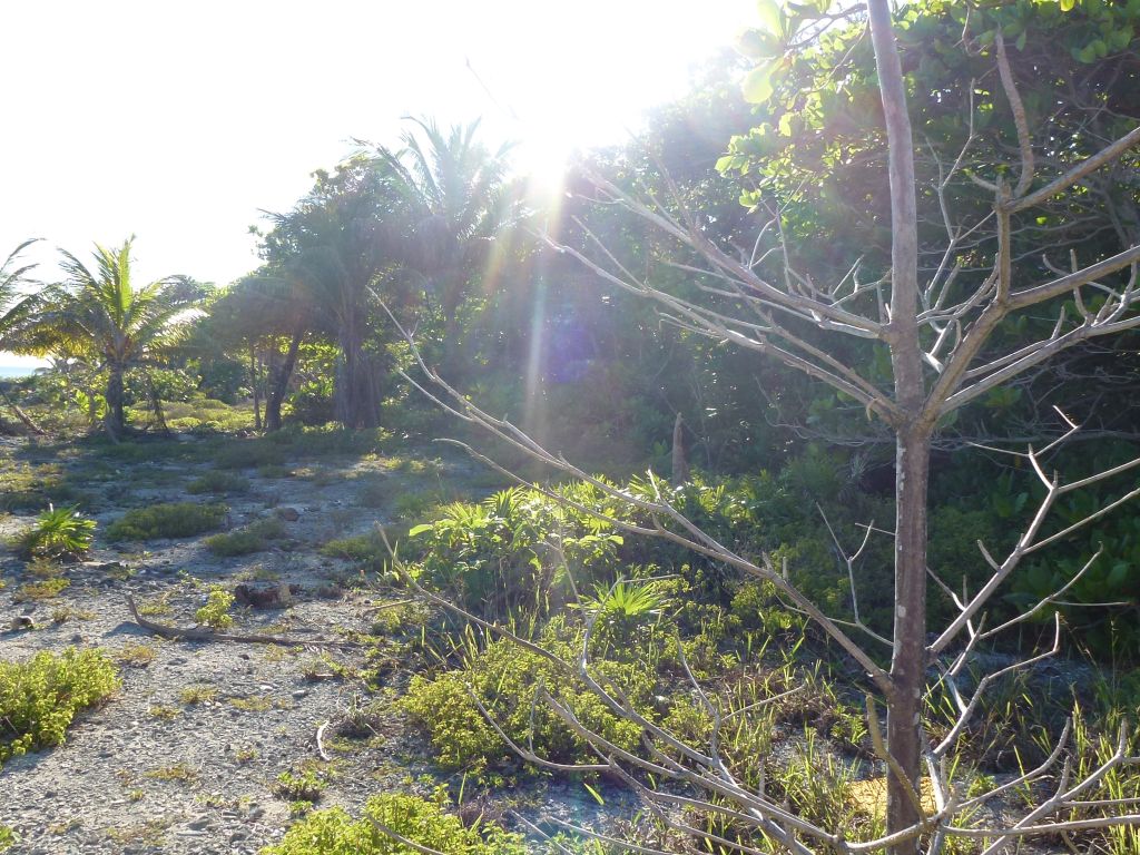 Listing ID: URE0649, Little Bight Utila, Bay Islands, HN - Little Bight Lot 10, Photo #