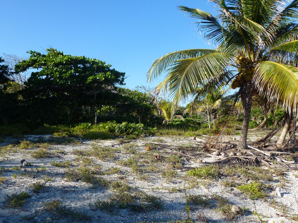 Listing ID: URE0649, Little Bight Utila, Bay Islands, HN - Little Bight Lot 10, Photo #