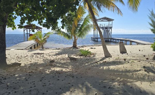 Oceanfront property with small bodega & boat dock