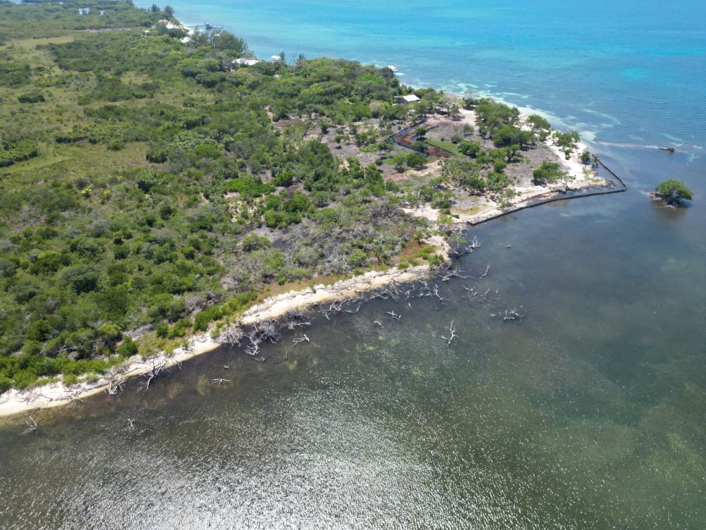 Listing ID: URE0652, South West Utila, Bay Islands, HN - West End Utila - Oceanfront Lot #1, Photo #