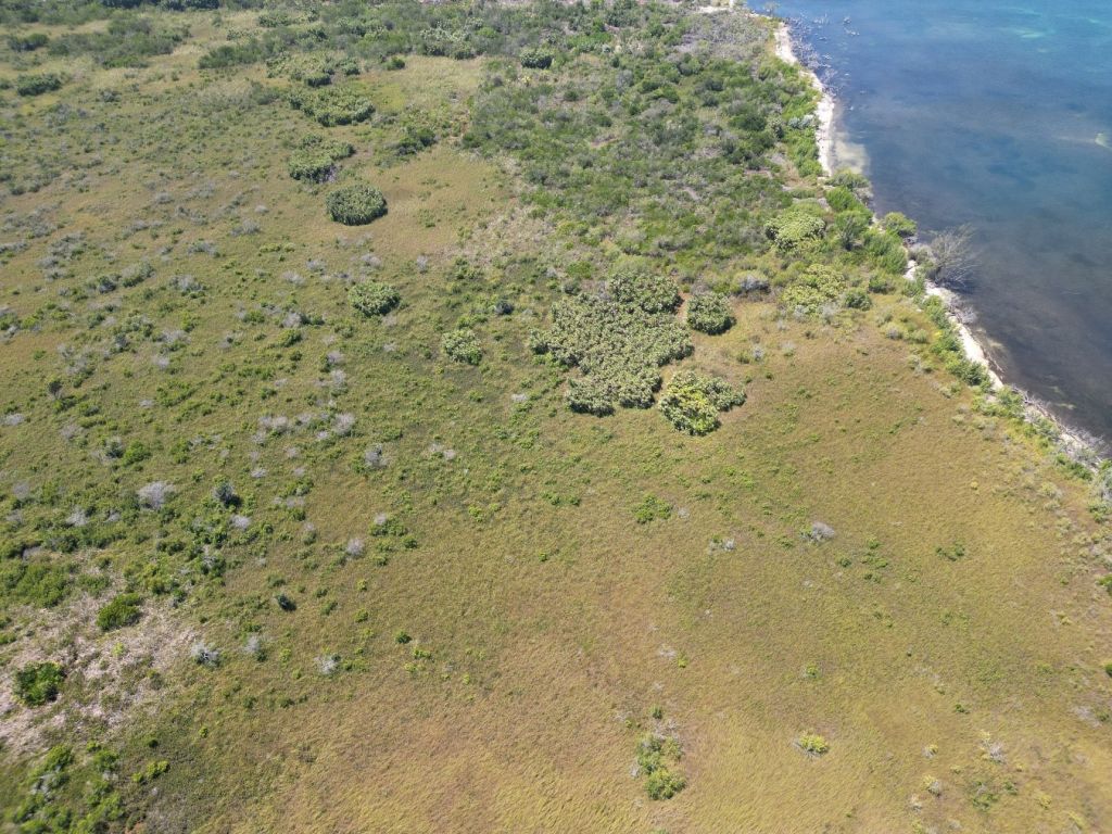 Listing ID: URE0655, West End Utila, Bay Islands, HN - West End 40+ Acres With Beachfront, Photo #