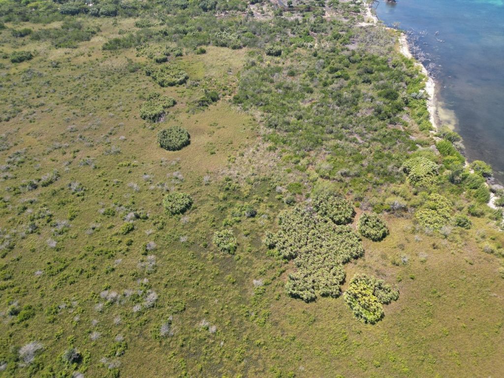 Listing ID: URE0655, West End Utila, Bay Islands, HN - West End 40+ Acres With Beachfront, Photo #