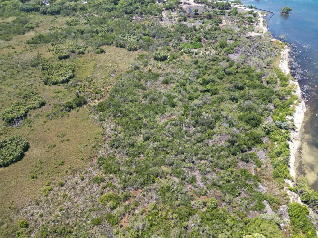 Listing ID: URE0655, West End Utila, Bay Islands, HN - West End 40+ Acres With Beachfront, Photo #