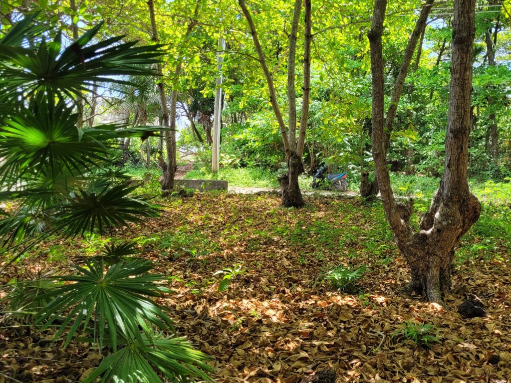 Listing ID: URE0659, Red Cliff Utila, Bay Islands, HN - Red Cliff Lot 8-C, Photo #