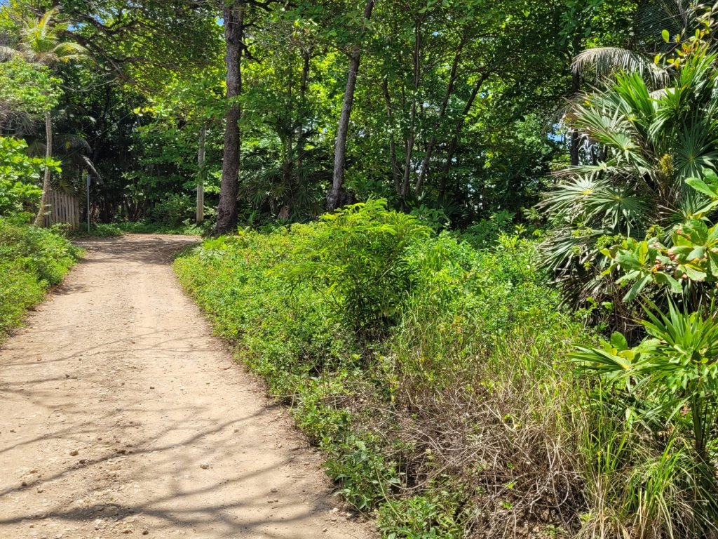 Listing ID: URE0659, Red Cliff Utila, Bay Islands, HN - Red Cliff Lot 8-C, Photo #