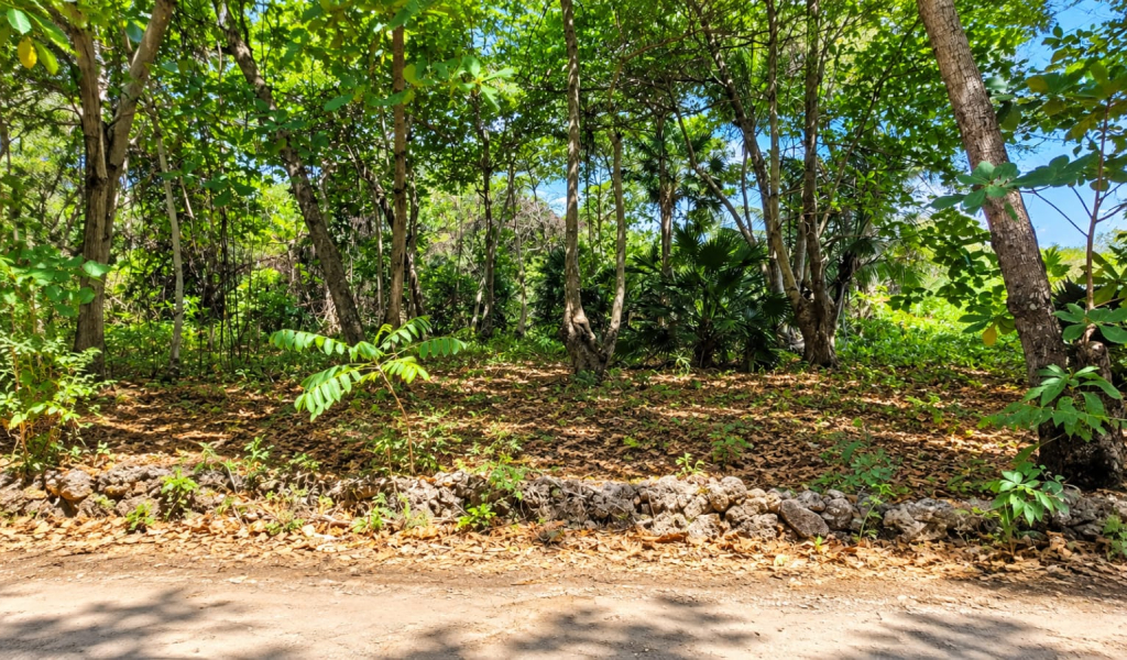 Listing ID: URE0659, Red Cliff Utila, Bay Islands, HN - Red Cliff Lot 8-C, Photo #
