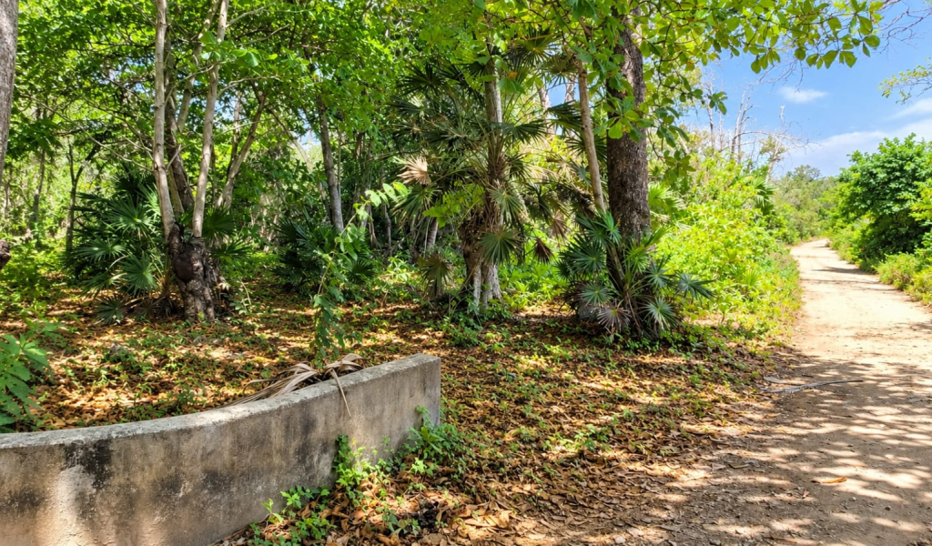 Listing ID: URE0659, Red Cliff Utila, Bay Islands, HN - Red Cliff Lot 8-C, Photo #