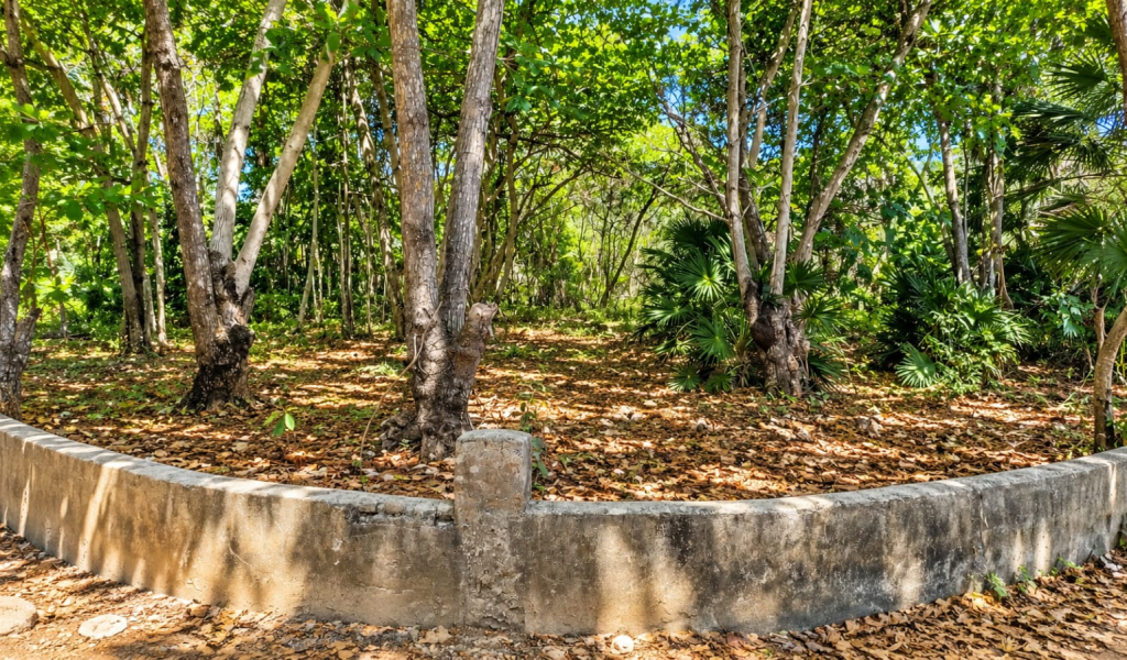 Listing ID: URE0659, Red Cliff Utila, Bay Islands, HN - Red Cliff Lot 8-C, Photo #
