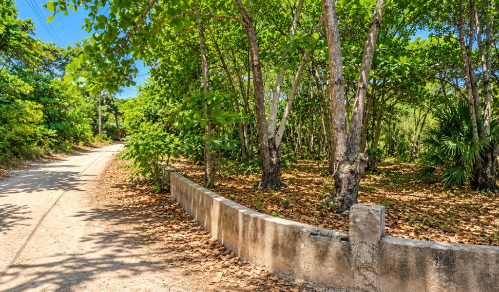 Listing ID: URE0659, Red Cliff Utila, Bay Islands, HN - Red Cliff Lot 8-C, Photo #