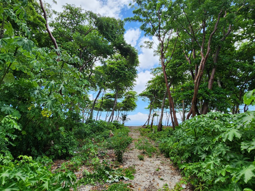 Listing ID: URE0662, Big Rock Utila, Bay Islands, HN - Big Rock Oceanfront Lot 11, Photo #